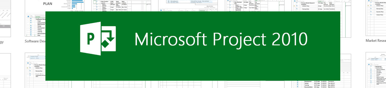 Microsoft Project Manager